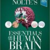 Nolte’s Essentials of the Human Brain, 2nd edition PDF