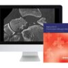 Imaging in the ED: A Practical Update of Emergency Radiology 2018