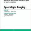 Gynecologic Imaging, An Issue of Magnetic Resonance Imaging Clinics of North America, 1e (The Clinics: Radiology) PDF
