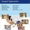 The Temporal Bone Anatomical Dissection and Surgical Approaches PDF