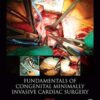 Fundamentals of Pediatric Minimally Invasive Cardiac Surgery PDF