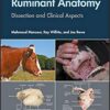 Guide to Ruminant Anatomy: Dissection and Clinical Aspects 1st Edition PDF