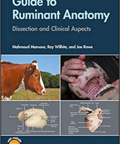 Guide to Ruminant Anatomy: Dissection and Clinical Aspects 1st Edition PDF