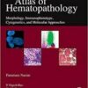 Atlas of Hematopathology: Morphology, Immunophenotype, Cytogenetics, and Molecular Approaches 1st Edition