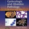 Diagnostic Gynecologic and Obstetric Pathology: An Atlas and Text 1 Har/Psc Edition