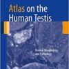 Atlas on the Human Testis: Normal Morphology and Pathology 2013th Edition