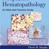 Neoplastic Hematopathology: An Atlas and Concise Guide 1st Edition