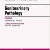 Genitourinary Pathology, An Issue of Surgical Pathology Clinics, (The Clinics: Surgery)