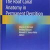 The Root Canal Anatomy in Permanent Dentition 1st ed. 2019 Edition