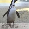 Campbell Biology in Focus 2nd Global Edition