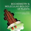 Biochemistry and Molecular Biology of Plants 2nd Edition