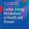 Cardiac Energy Metabolism in Health and Disease (Advances in Biochemistry in Health and Disease) 2014th Edition