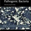 Stress Response in Pathogenic Bacteria (Advances in Molecular and Cellular Microbiology)