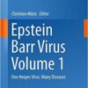 Epstein Barr Virus Volume 1: One Herpes Virus: Many Diseases (Current Topics in Microbiology and Immunology)