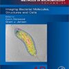 Imaging Bacterial Molecules, Structures and Cells, Volume 43 (Methods in Microbiology) 1st Edition