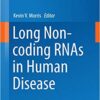 Long Non-coding RNAs in Human Disease (Current Topics in Microbiology and Immunology Book 394) 1st ed. 2016 Edition