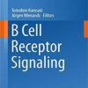 B Cell Receptor Signaling (Current Topics in Microbiology and Immunology) 1st ed. 2016 Edition