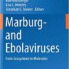 Marburg- and Ebolaviruses: From Ecosystems to Molecules (Current Topics in Microbiology and Immunology) 1st ed. 2017 Edition