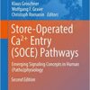 Store-Operated Ca²⁺ Entry (SOCE) Pathways: Emerging Signaling Concepts in Human (Patho)physiology (Advances in Experimental Medicine and Biology Book 993) 2nd Edition
