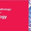 Classic Lectures in Pathology: What You Need to Know: Neuropathology 2018