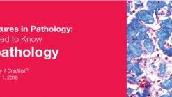 Classic Lectures in Pathology: What You Need to Know: Neuropathology 2018