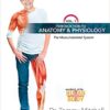 Introduction to Anatomy & Physiology Vol 1: The Musculoskeletal System (Wonders of the Human Body)
