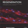 Tendon Regeneration: Understanding Tissue Physiology and Development to Engineer Functional Substitutes 1st Edition