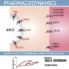 Basic Pharmacokinetics and Pharmacodynamics An Integrated Textbook and Computer Simulations 2nd Edition