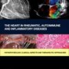 The Heart in Rheumatic, Autoimmune and Inflammatory Diseases: Pathophysiology, Clinical Aspects and Therapeutic Approaches 1st