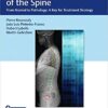 Sagittal Balance of the Spine: From Normal to Pathology: A Key for Treatment Strategy 1st Edition PDF