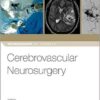 Cerebrovascular Neurosurgery (Neurosurgery by Example) PDF