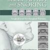 Sleep Apnea and Snoring: Surgical and Non-Surgical Therapy 2nd ed. Edition