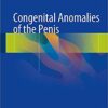 Congenital Anomalies of the Penis 1st ed. 2017 Edition PDF