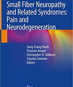 Small Fiber Neuropathy and Related Syndromes: Pain and Neurodegeneration 1st ed. 2019 Edition PDF