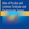 Atlas of Peculiar and Common Testicular and Paratesticular Tumors 1st ed. 2020 Edition PDF