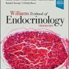 Williams Textbook of Endocrinology 14th Edition EPUB