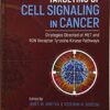 Extracellular Targeting of Cell Signaling in Cancer: Strategies Directed at MET and RON Receptor Tyrosine Kinase Pathways 1st Edition PDF
