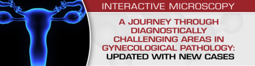 A Journey Through Diagnostically Challenging Areas in Gynecologic Pathology: Updated with New Cases video 2020