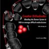 Creative Orthodontics Blending the Damon System & TADS to Manage Difficult Malocclusions PDF