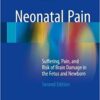 Neonatal Pain: Suffering, Pain, and Risk of Brain Damage in the Fetus and Newborn 2nd Edition PDF