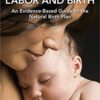 Natural Labor and Birth: An Evidence-Based Guide to the Natural Birth Plan 1st Edition PDF