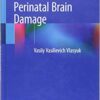 Birth Trauma and Perinatal Brain Damage 1st ed. 2019 Edition PDF