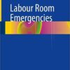 Labour Room Emergencies 1st ed. 2020 Edition PDF