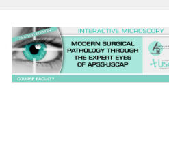 Second Edition: Modern Surgical Pathology Through the Expert Eyes