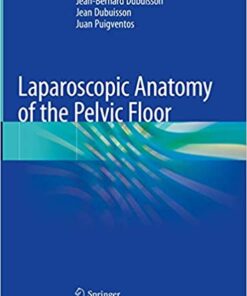 Laparoscopic Anatomy of the Pelvic Floor 1st ed. 2020 Edition PDF