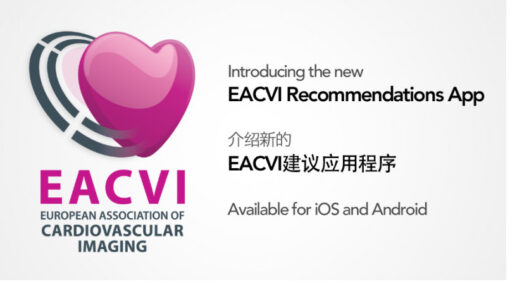 EACVI Echocardiography in the Intensive Care Unit