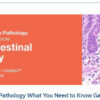 2019 Classic Lectures in Pathology What You Need to Know Gastrointestinal Pathology