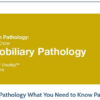 2019 Classic Lectures in Pathology What You Need to Know Pancreatobiliary Pathology