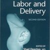 A Practical Manual to Labor and Delivery 2nd Edition PDF