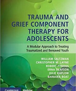 Trauma and Grief Component Therapy for Adolescents: A Modular Approach to Treating Traumatized and Bereaved Youth 1st Edition PDF
